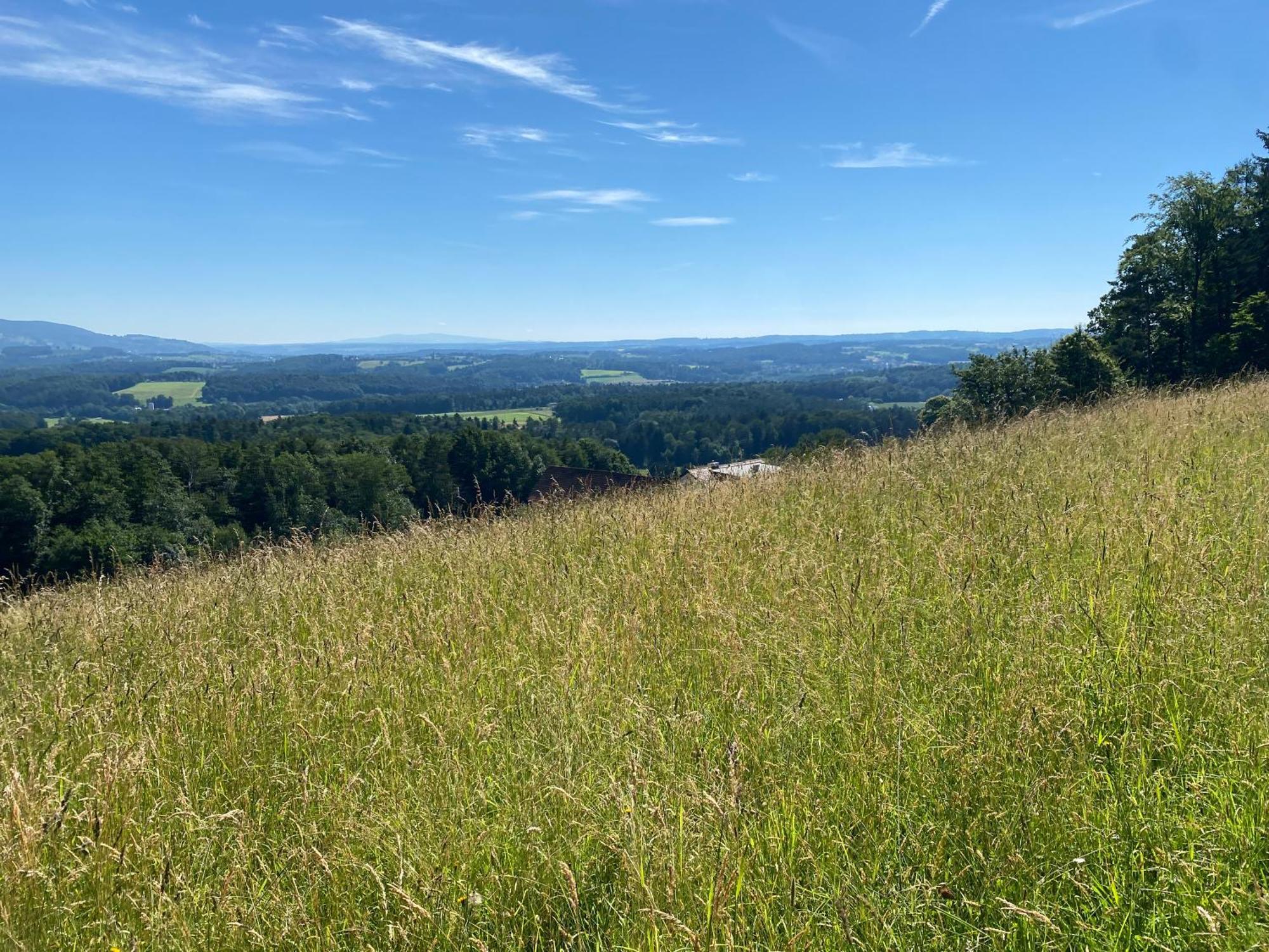 Wohnen Zwischen Golf Und Therme Bad Waltersdorf Kültér fotó